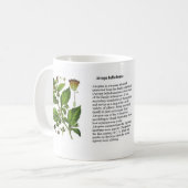 Atropa belladonna koffiemok (Voorkant links)