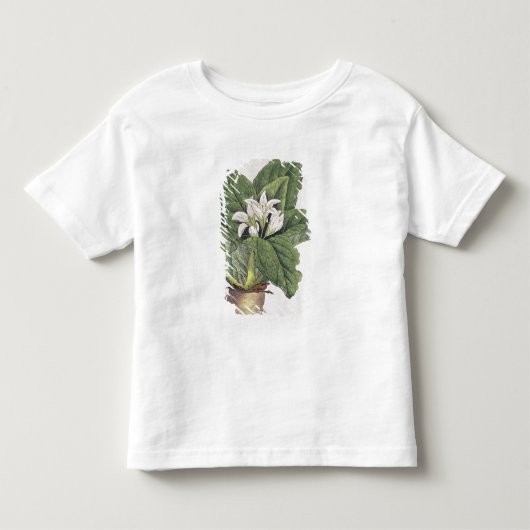 Atropa mandragora kinder shirts (Voorkant)
