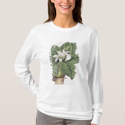 Atropa mandragora t-shirt (Voorkant)