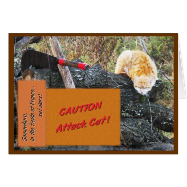 Attack Cat (Voorkant Horizontaal)