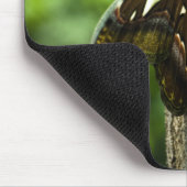 Attacus Atlas Mousepad Muismat (Hoek)