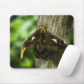 Attacus Atlas Mousepad Muismat (Met muis)
