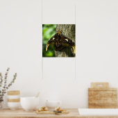 Attacus Atlas Print (Keuken)