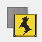 Attentie: Chihuahua Ahead! Magneet (Voorkant / Achterkant)