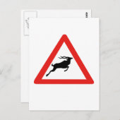 Attentie Kudus, verkeersborden, Zuid-Afrika Briefkaart (Voorkant / Achterkant)