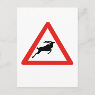 Attentie Kudus, verkeersborden, Zuid-Afrika Briefkaart