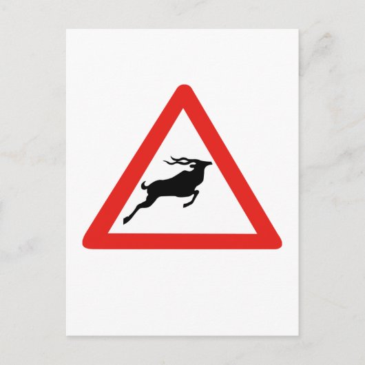 Attentie Kudus, verkeersborden, Zuid-Afrika Briefkaart (Voorkant)