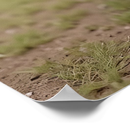 Attention Recruits: blaffen in vorm Poster (Hoek)