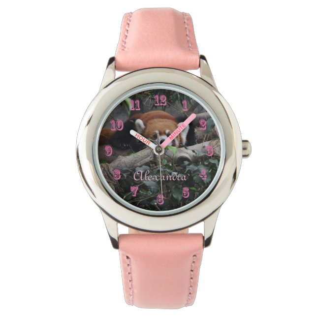 Attentive Red Panda in de dierentuin Horloge (Voorkant)