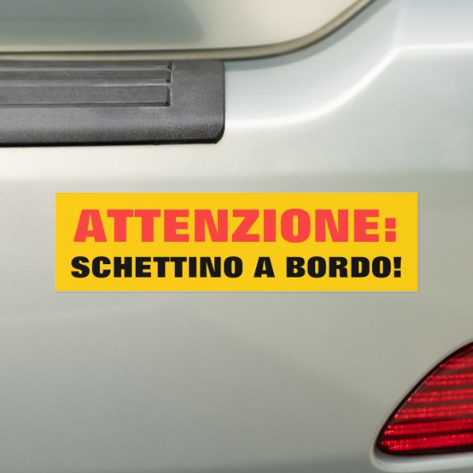 ATTENZIONE: SCHETTINO A BORDO! BUMPERSTICKER (Op auto)