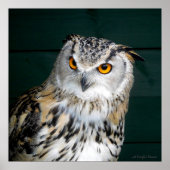 "Attitude" - boomkor Poster (Voorkant)