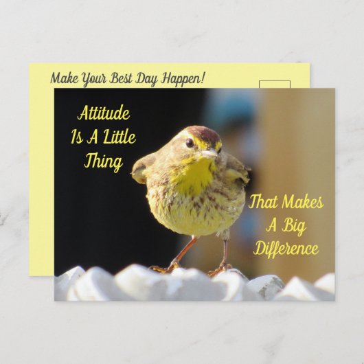 Attitude Briefkaart - Palm Warbler Bird (Voorkant / Achterkant)