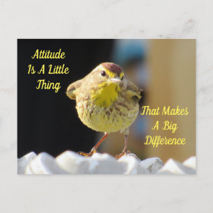 Attitude Briefkaart - Palm Warbler Bird