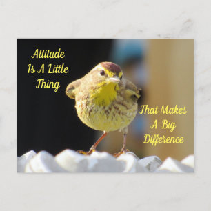 Attitude Briefkaart - Palm Warbler Bird