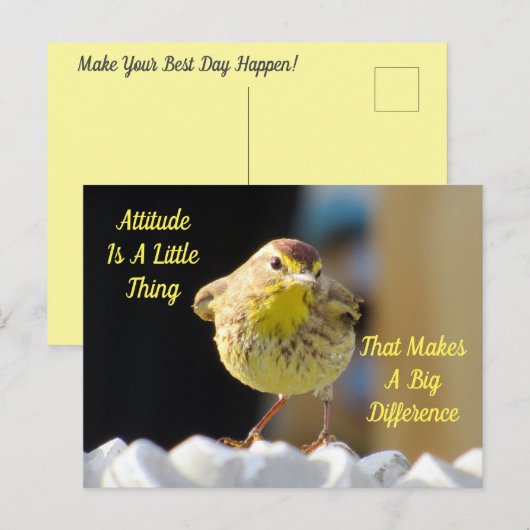 Attitude Briefkaart - Palm Warbler Bird (Voorkant / Achterkant)
