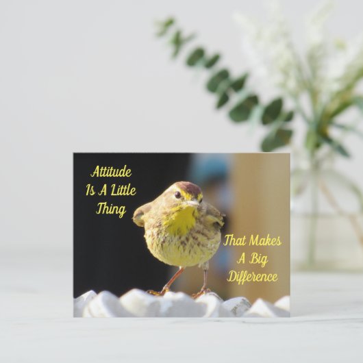 Attitude Briefkaart - Palm Warbler Bird (Staand voorkant)