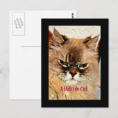 Attitude Cat Briefkaart (Voorkant / Achterkant)