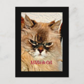 Attitude Cat Briefkaart (Voorkant)