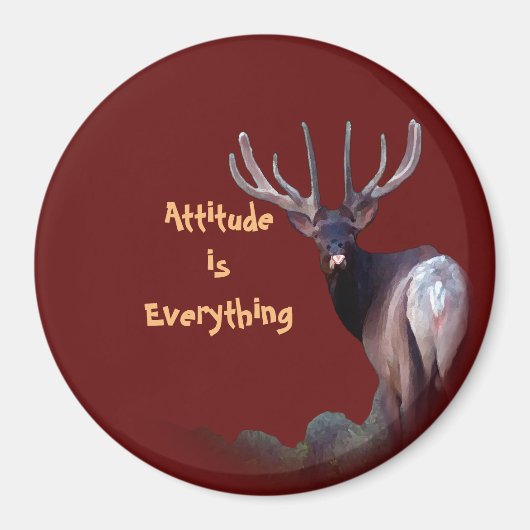Attitude is alles magneet (Voorkant)