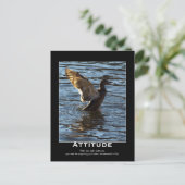 Attitude Mallard Duck Motivatie Briefkaarten (Staand voorkant)