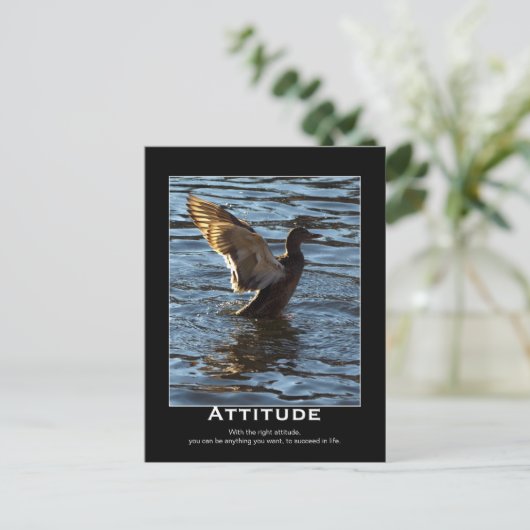 Attitude Mallard Duck Motivatie Briefkaarten (Staand voorkant)