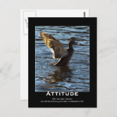 Attitude Mallard Duck Motivatie Briefkaarten (Voorkant / Achterkant)