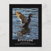 Attitude Mallard Duck Motivatie Briefkaarten (Voorkant)