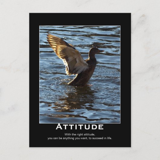 Attitude Mallard Duck Motivatie Briefkaarten (Voorkant)