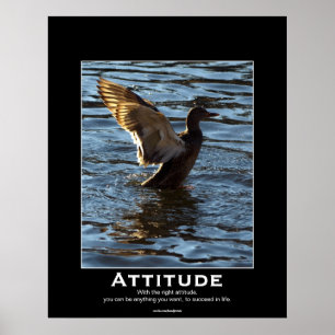 Attitude Mallard Duck Motivatie Posters