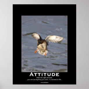 Attitude Mallard Duck Motivatie Posters