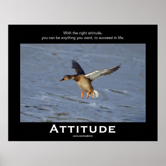 Attitude Mallard Duck Motivatie Posters (Voorkant)