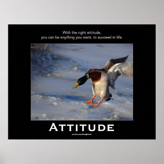 Attitude Mallard Duck Motivatie Posters (Voorkant)