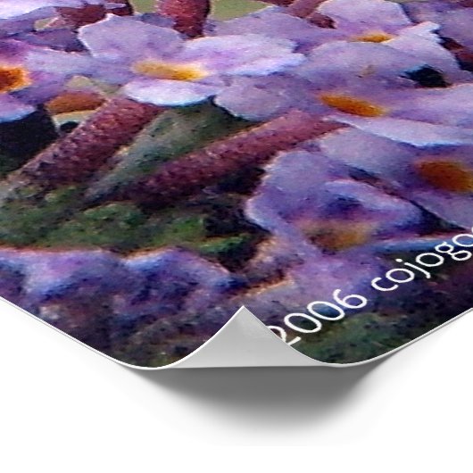 "Attitude"-Poster Poster (Hoek)