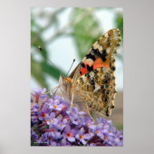 "Attitude"-Poster Poster (Voorkant)