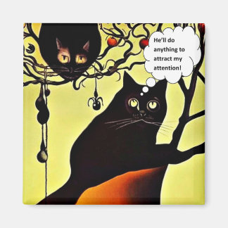 Attracting my attention magneet