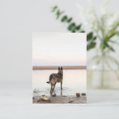 au loin briefkaart (Staand voorkant)