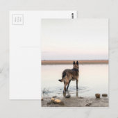 au loin briefkaart (Voorkant / Achterkant)