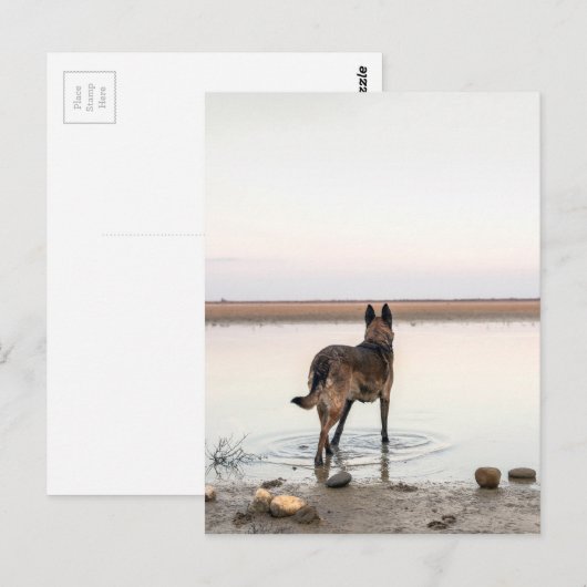 au loin briefkaart (Voorkant / Achterkant)