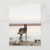 au loin briefkaart (Voorkant)