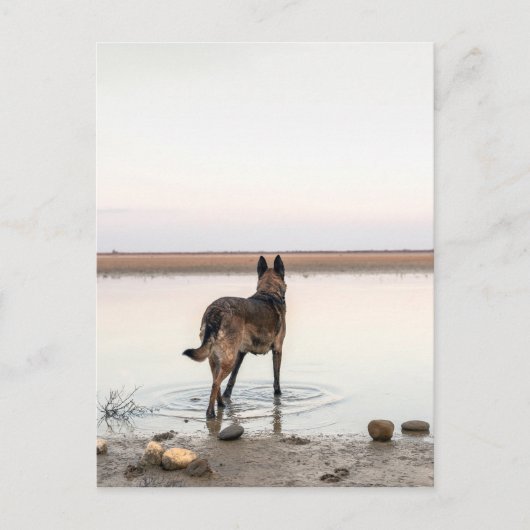 au loin briefkaart (Voorkant)