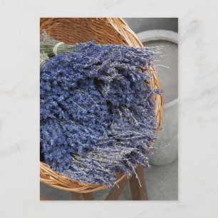 Au pays des lavandes briefkaart