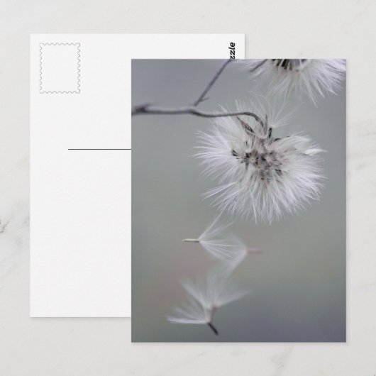 Au Revoir Autumn flower Seeds met CC0092 Briefkaart (Voorkant / Achterkant)