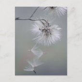 Au Revoir Autumn flower Seeds met CC0092 Briefkaart (Voorkant)