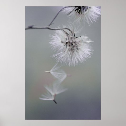 Au Revoir Autumn flower Seeds met CC0116 Poster (Voorkant)