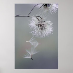 Au Revoir Autumn flower Seeds verlaten CC0116 Poster
