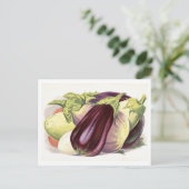 Aubergine botanische illustratie briefkaart (Staand voorkant)