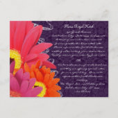 Aubergine Gerber Informatiekaartje