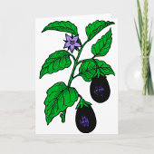 Aubergine Wenskaarten Kaart