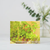 Aubergines en Marigold Briefkaart (Staand voorkant)