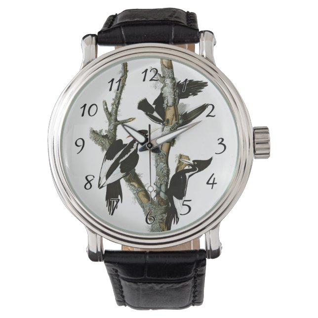 Aububon's Ivory-buikige Woodpecker in Ash Tree Horloge (Voorkant)